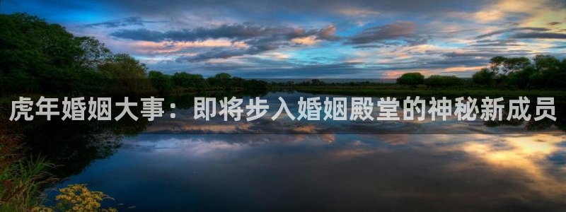 壹号app下载链接