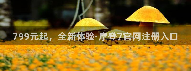 威九国际强制退款流程详解