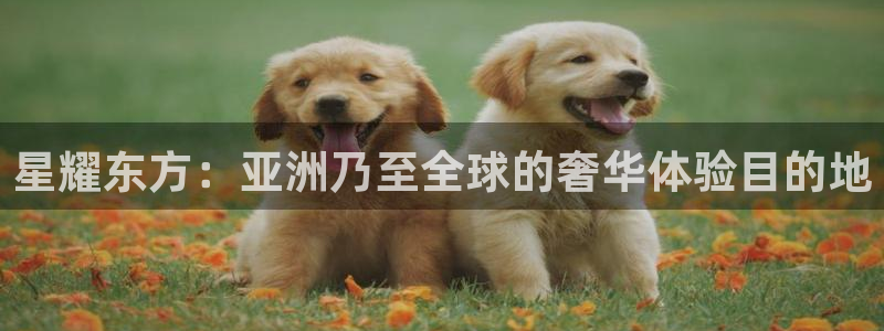 壹号app下载官网娱乐