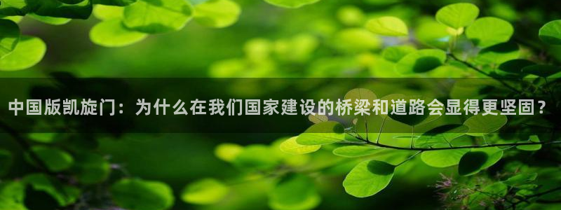 壹号app下载