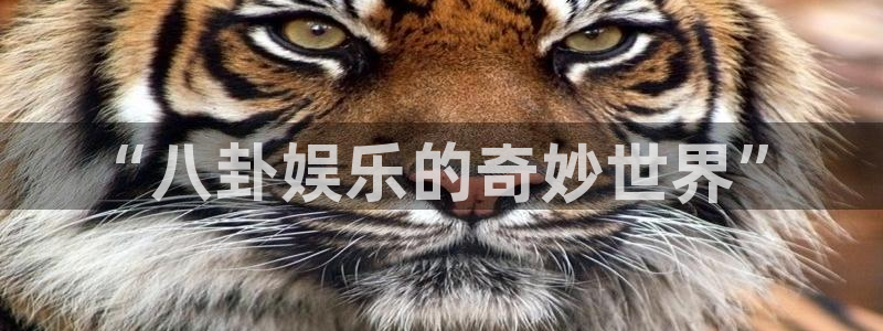 威九国际官网下载