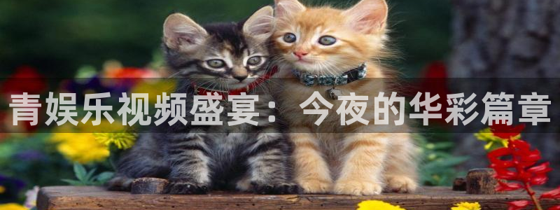 威九国际(com.youad.authst)