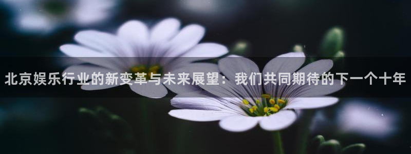 壹号app下载苹果