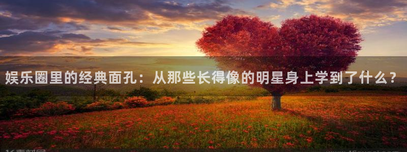 威九国际怎么下载