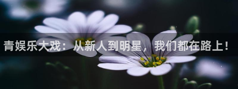 壹号官网app下载安装