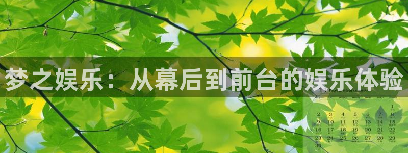 威九国际,apk