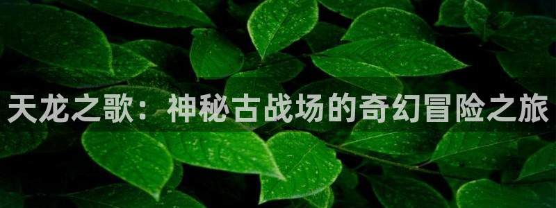壹号大舞台网站