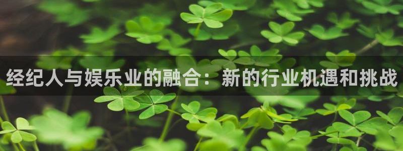 威九国际app下载安装：经纪人与娱乐业的融合：新的行业机遇和挑战