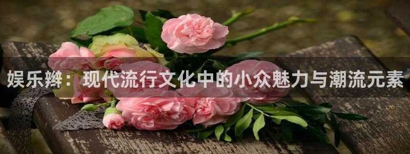 壹号app下载链接：娱乐辫：现代流行文化中的小众魅力与潮流元素