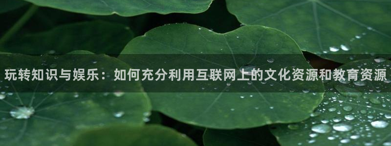 壹号app官网版下载：玩转知识与娱乐：如何充分利用互联网上的文化资源和教育资源