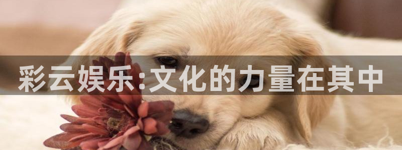 威九国际app最新版怎么下载苹果：彩云娱乐:文化的力量在其中