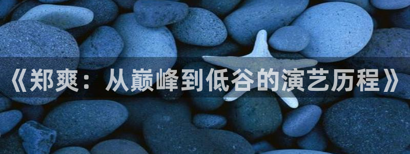 威九国际官网：《郑爽：从巅峰到低谷的演艺历程》