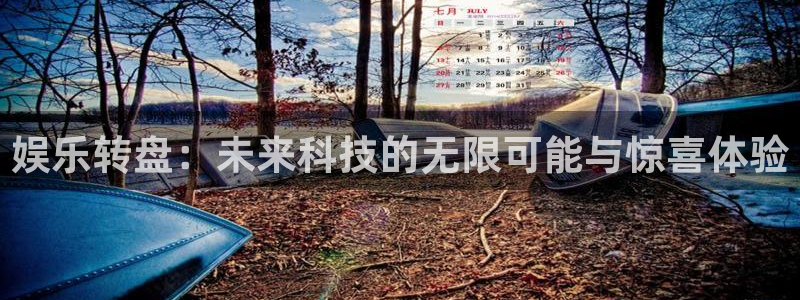 壹号平台娱乐：娱乐转盘：未来科技的无限可能与惊喜体验