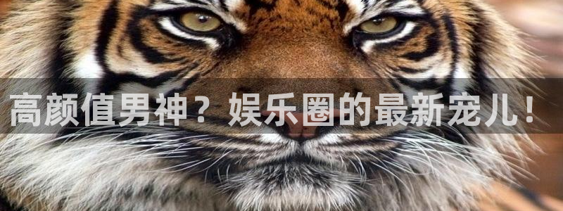 威九国际app官网下载：高颜值男神？娱乐圈的最新宠儿！