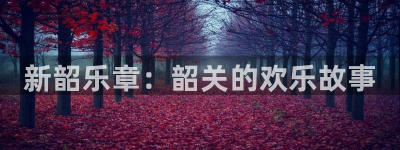 威九国际app下载官网：新韶乐章：韶关的欢乐故事