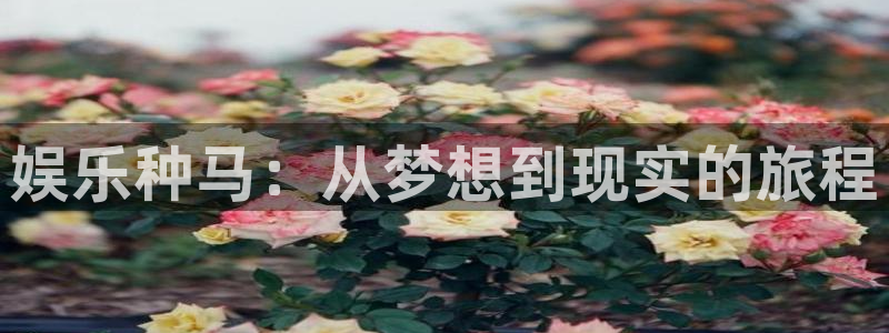 壹号大舞台怎么注册：娱乐种马：从梦想到现实的旅程
