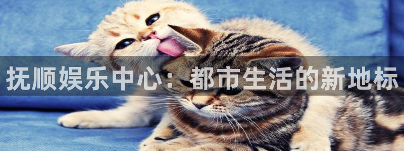 壹号平台下载安装：抚顺娱乐中心：都市生活的新地标