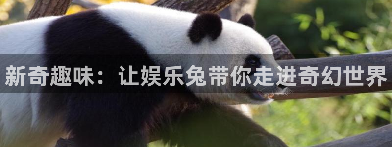 壹号平台下载安装：新奇趣味：让娱乐兔带你走进奇幻世界