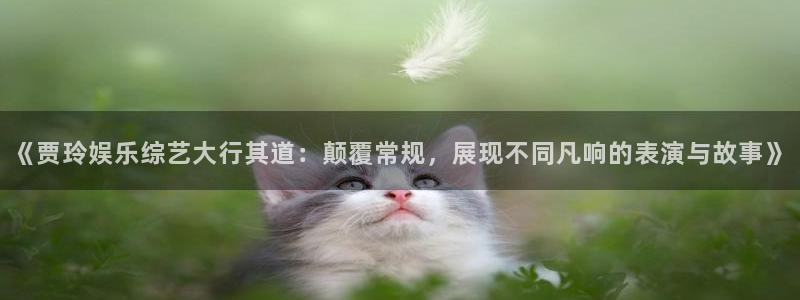 威九国际com：《贾玲娱乐综艺大行其道：颠覆常规，展现不同凡响的表演与故事》