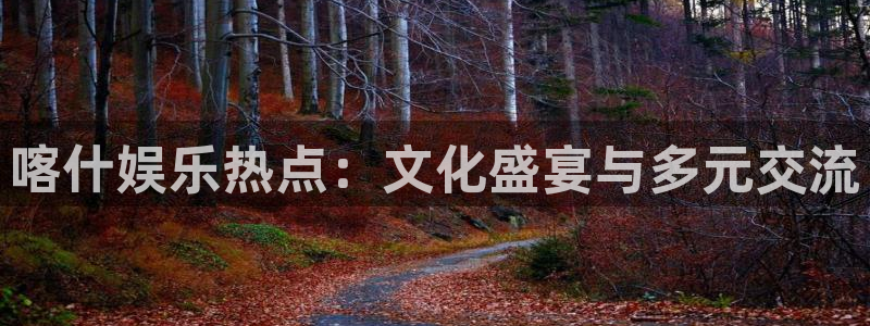 威九国际官方app下载安装：喀什娱乐热点：文化盛宴与多元交流