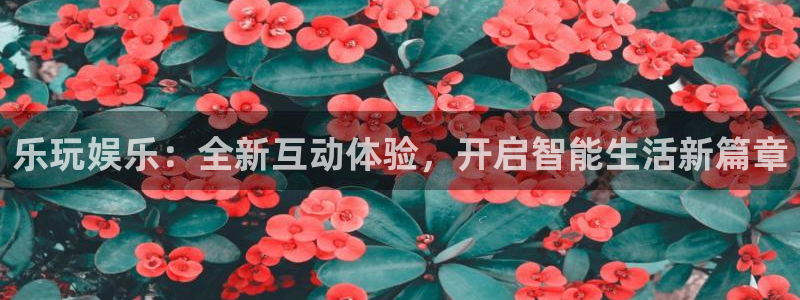 壹号下载安装：乐玩娱乐：全新互动体验，开启智能生活新篇章