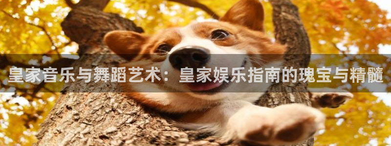 壹号大舞台官网入口：皇家音乐与舞蹈艺术：皇家娱乐指南的瑰宝与精髓
