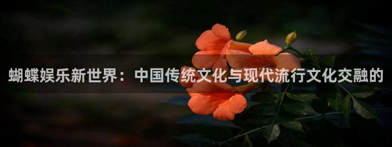 壹号top娱乐：蝴蝶娱乐新世界：中国传统文化与现代流行文化交融的