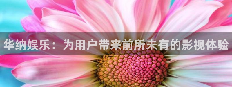 威九国际app官网下载苹果：华纳娱乐：为用户带来前所未有的影视体验